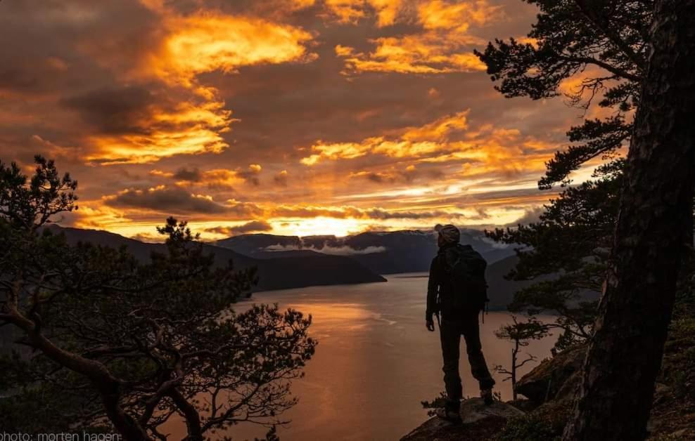 Nedre Amla Fjord Apartment Kaupanger Luaran gambar